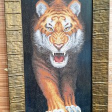 Работа «Золотое руно H-005 - Тигр»