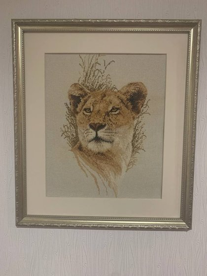 Работа «№96753»