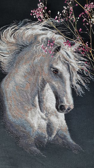 Работа «Андалузский характер, Риолис»