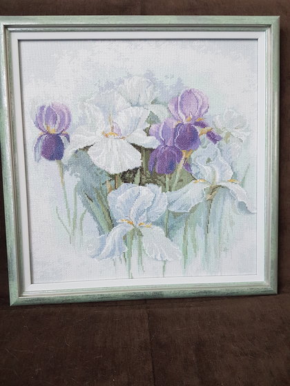 Работа «Ирисы, Luca-S»