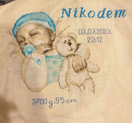 Работа «Metryczka»