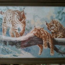 Работа «Рыси»