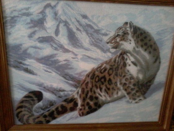 Работа «Ирбис»