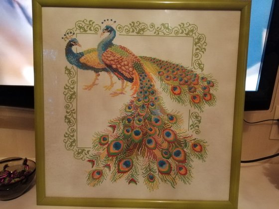 Работа «жар-птица»