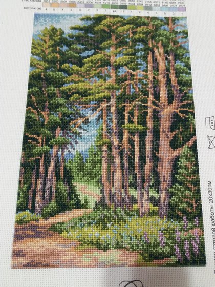 Работа «Тропинка в лесу»