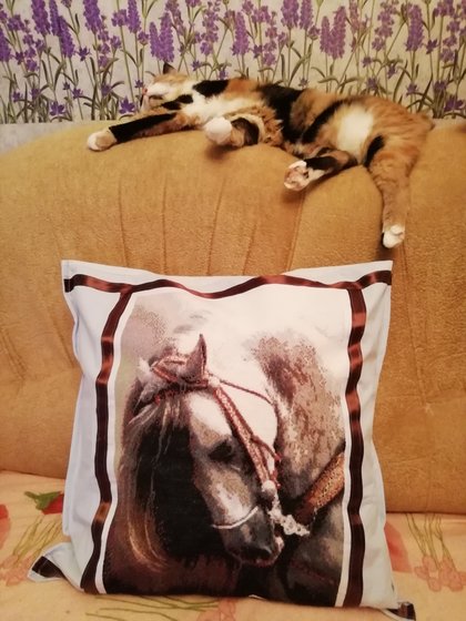 Работа «Лошадь (оформление)»