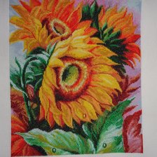 Работа «Цветы солнца 1»