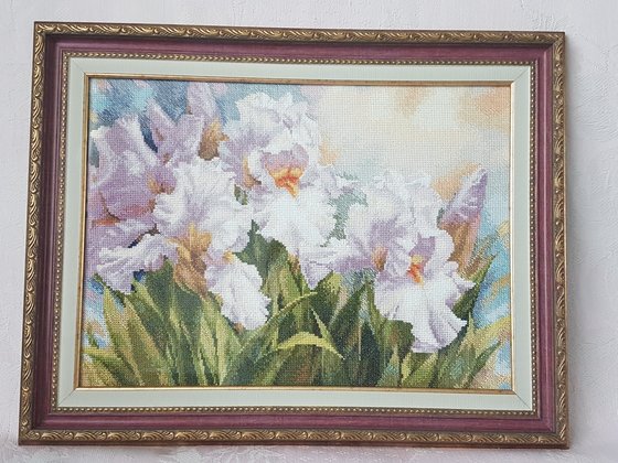 Работа «Ирисы, Алиса»