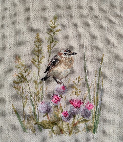 Работа «Луговой  чекан»