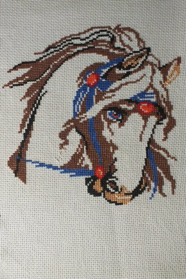 Работа «Лошадь»