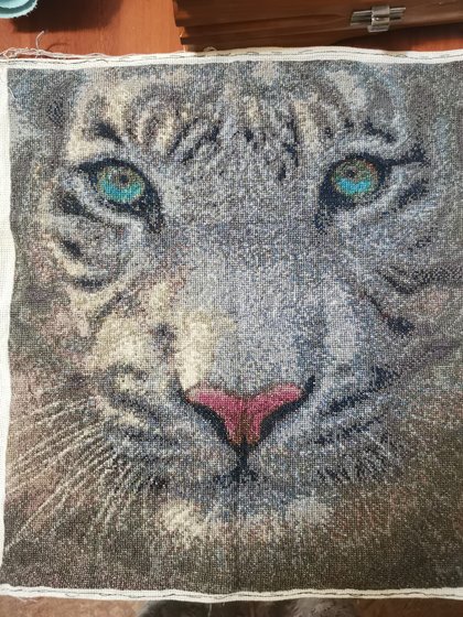 Работа «№97569»