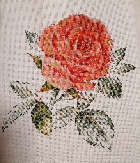 Работа «Акварельная роза от Oneroom ( китайский)»