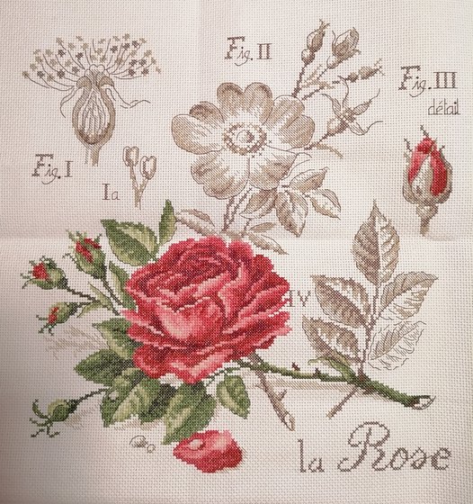 Работа «Роза ( китайский набор)»