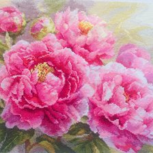 Работа «Пионы от фирмы Алиса»