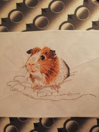 Работа «Хомячок»