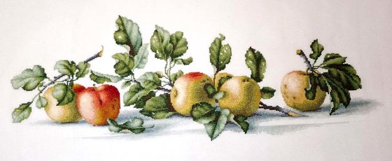 Работа «Яблоки»