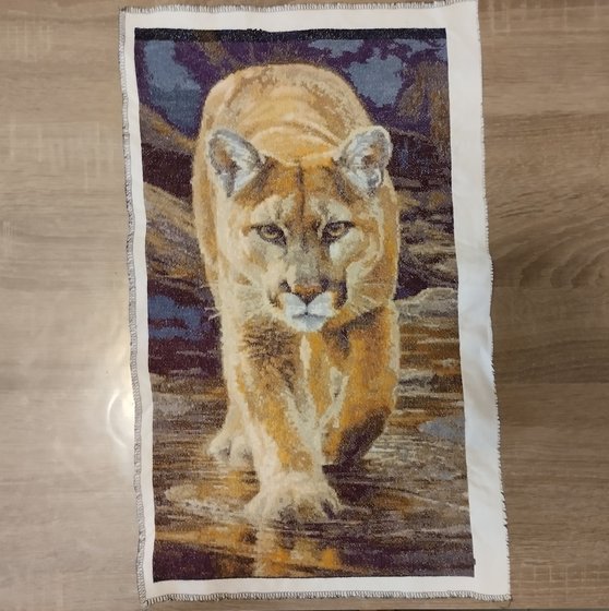 Работа «Пума»