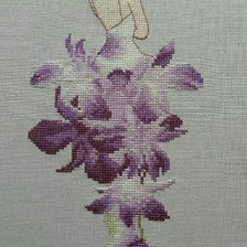 Работа «№97810»