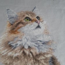 Работа «№97811»