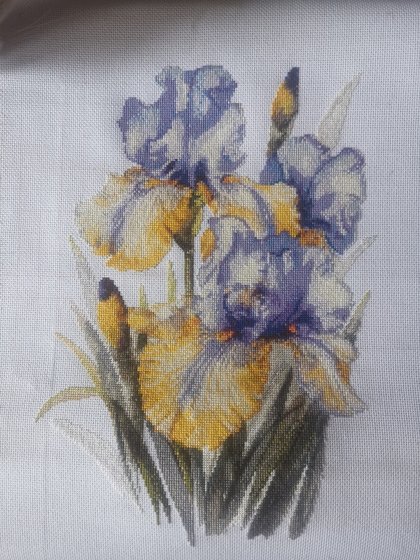 Работа «Ирисы»