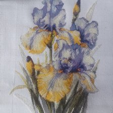 Работа «Ирисы»