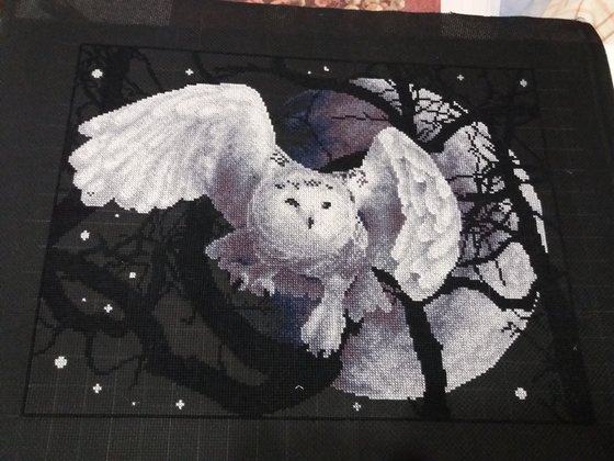 Работа «Сова в полете»