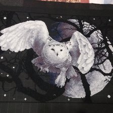 Работа «Сова в полете»