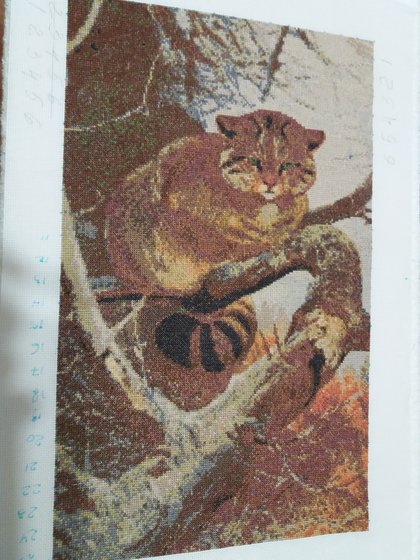 Работа «Хмурый котяра»