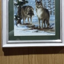 Работа «Волки»