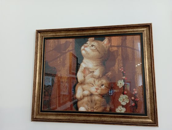 Работа «Еще котейки»