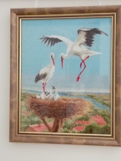 Работа «аисты»