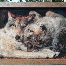 Работа «волки.»