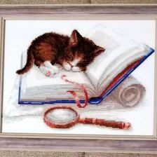 Работа «Котенок на книжке.»