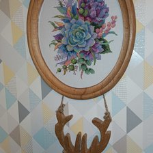 Работа «Суккуленты»