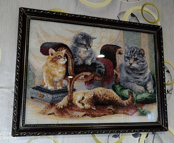 Работа «Кошачье семейство»