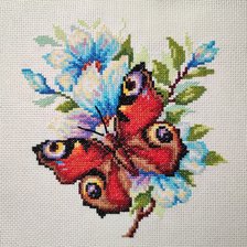 Работа «Павлиний глаз (42-09)»