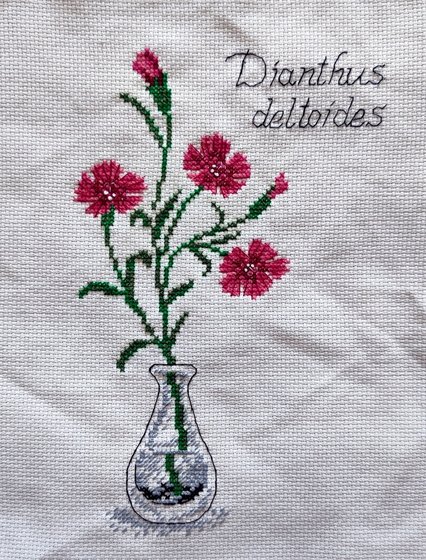 Работа «Искусница - Гвоздика-травянка (5005)»