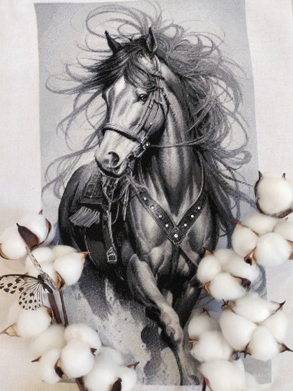 Работа «Ветер в гриве, Катюшкины крестики»