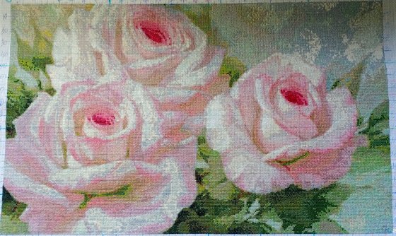 Работа «РОЗЫ»