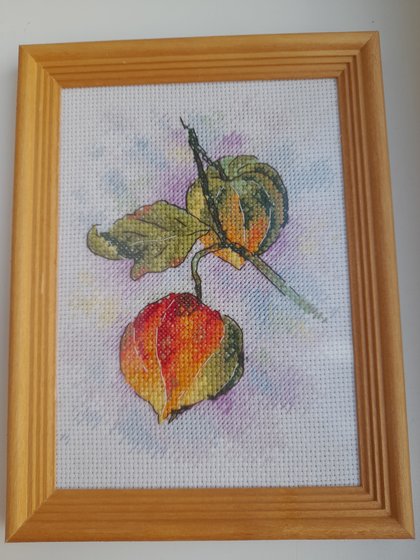 Работа «"Физалис"»