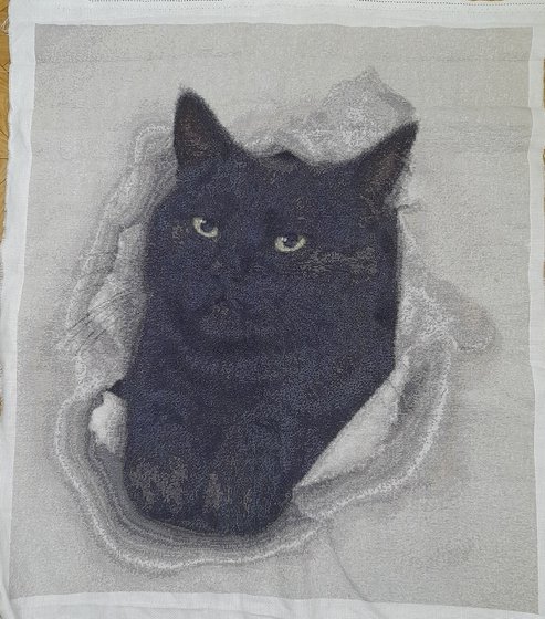 Работа «Черный кот»