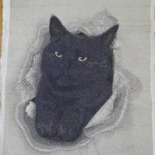 Работа «Черный кот»
