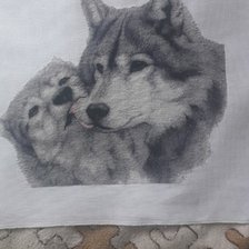 Работа «Волки»