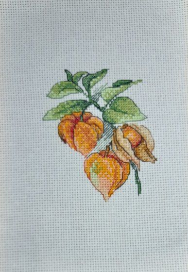 Работа «Физалис 2»