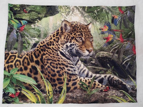 Работа «Леопард»