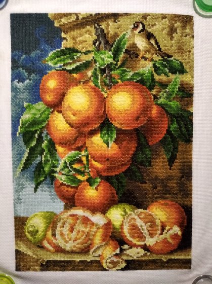 Работа «Апельсины»