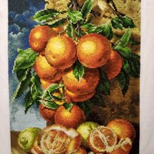 Работа «Апельсины»