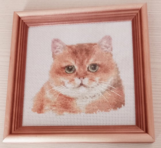 Работа «Кот Персик 🍑»