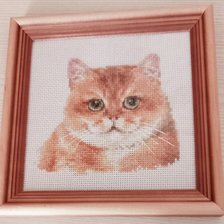 Работа «Кот Персик 🍑»