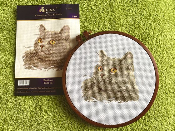 Работа «Костик»